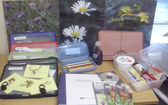 Multimedia and supplies