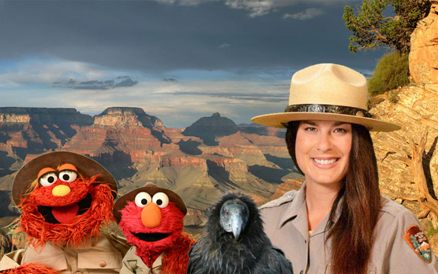 (left to right) Murray and Elmo from Sesame Street, a California condor and Park Ranger Amala standing in front of the Grand Canyon.