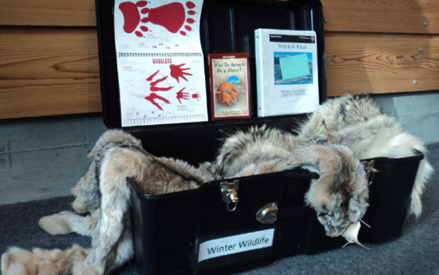 Contents of Winter Wildlife Traveling Trunk