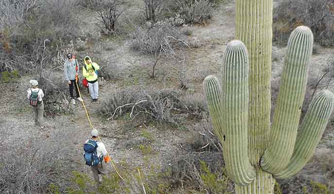 Students measuring the height of a saguaro using a clinometer Students measuring the height of a saguaro using a clinometer