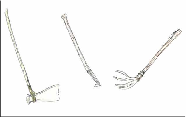 A hoe made from a bison scapula; a digging stick; a rake made out of a deer antler A hoe made from a bison scapula; a digging stick; a rake made out of a deer antler