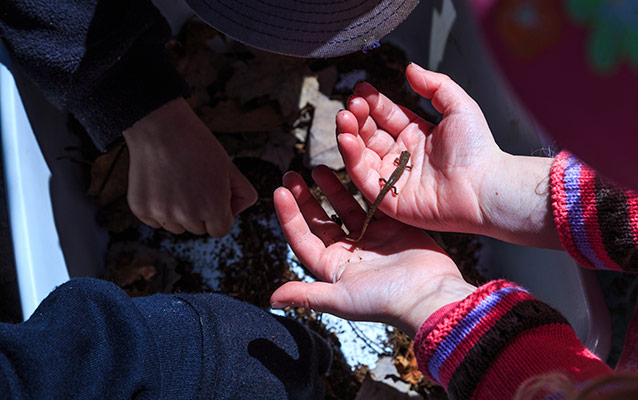 Two students explore wildlife biology with a ranger.