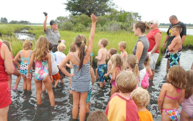 Students explore the marsh to learn about food webs
