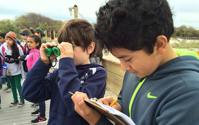Students noting bird behavior Students noting bird behavior