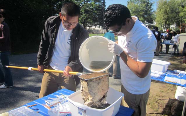 Searching for macroinvertebrates