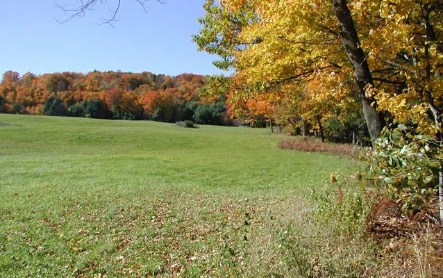 Pasture and Forest in Fall Pasture and Forest in Fall