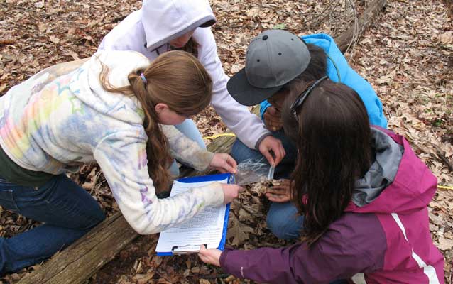 A group of children gather around in a circle as they look at a salamander A group of children gather around in a circle as they look at a salamander