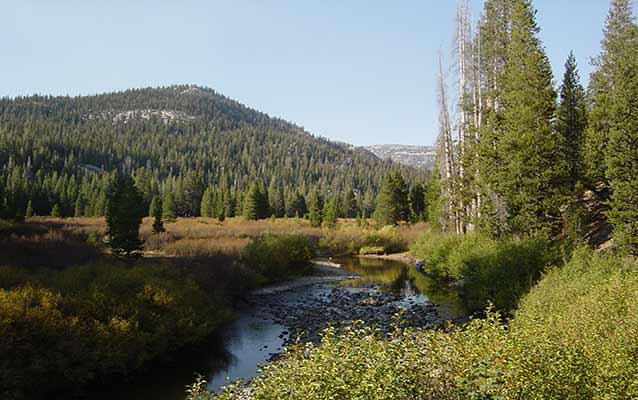 The San Joaquin River winds through Soda Springs Meadow in Devils Postpile The San Joaquin River winds through Soda Springs Meadow in Devils Postpile