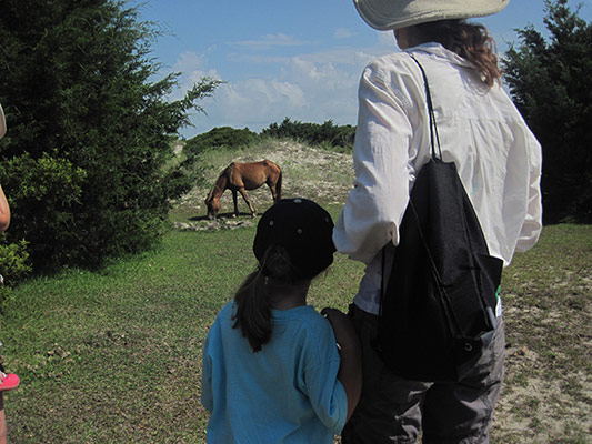 Mother and daughter watch a wild horse from a safe distance. Mother and daughter watch a wild horse from a safe distance.