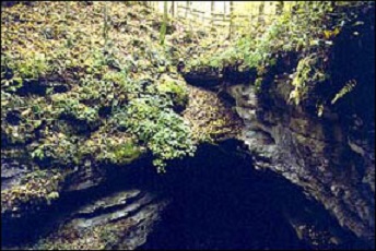 Entrance to Mammoth Cave Entrance to Mammoth Cave