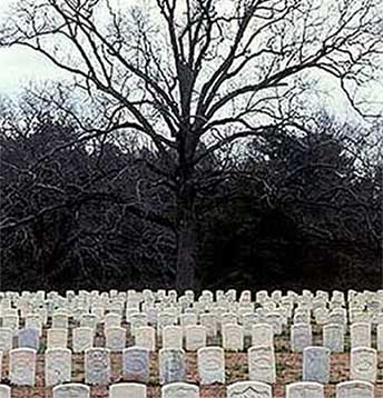 Andersonville Cemetery Andersonville Cemetery