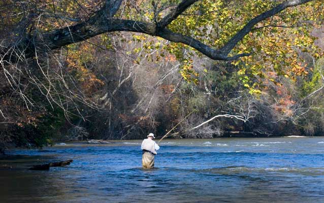 Fly Fisherman in Chattahoochee River Fly Fisherman in Chattahoochee River