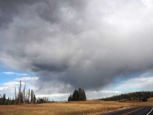 Dark cloud with rain over a meadow, road and trees. 