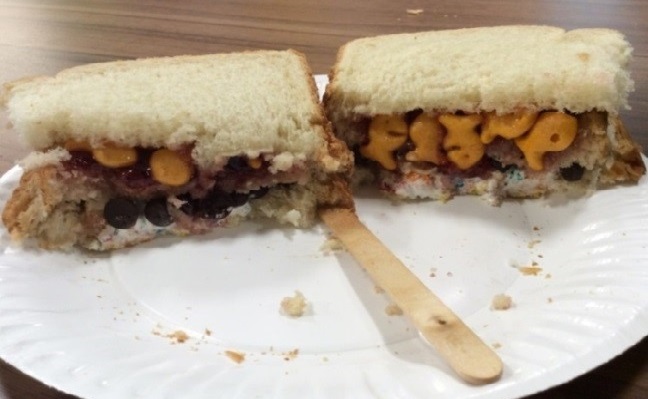 An example of a sandwich that shows layers of food to represent layers of rock
