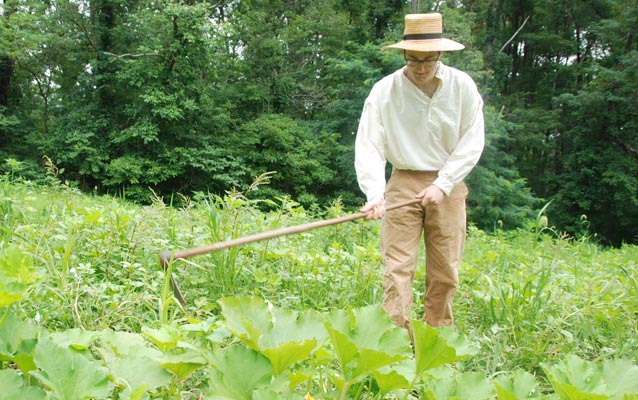 Man in pioneer clothing hoeing the garden