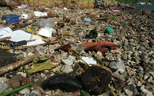 Trash along shoreline 