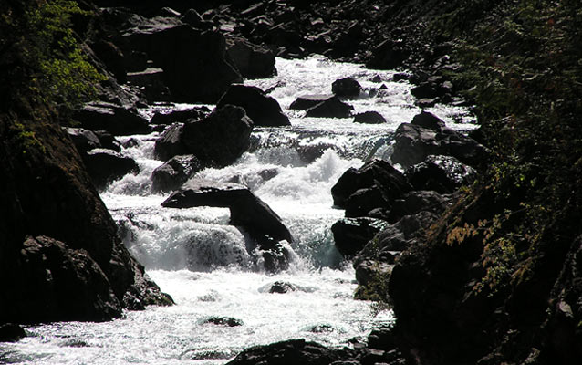 Elwha Cascades. Elwha Cascades.