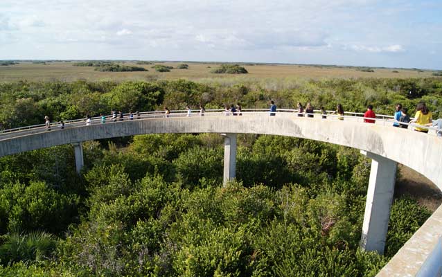 Students at Shark Valley observation area