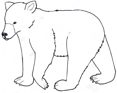 An outline of a black bear, Artwork by Artist-in-Residence, Helen Seay.