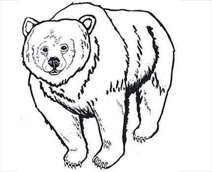grizzly bear outline by Helen Seay