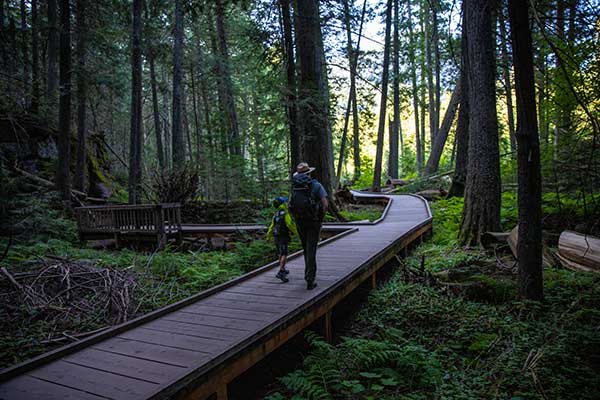 a ranger and a child walk through an old growth forest a ranger and a child walk through an old growth forest
