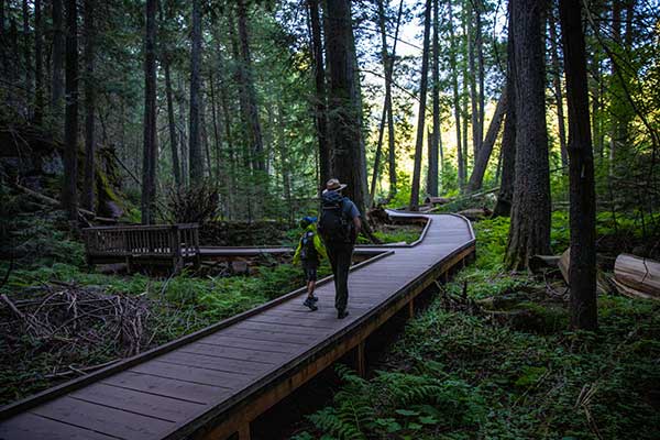 a ranger and a child walk through an old growth forest