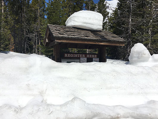 snow covers a park sign 