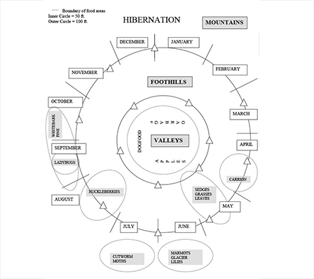 A diagram titled Hibernation with the months listed chronologically