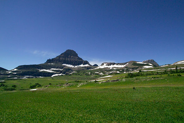 A meadow with mountains in the background
