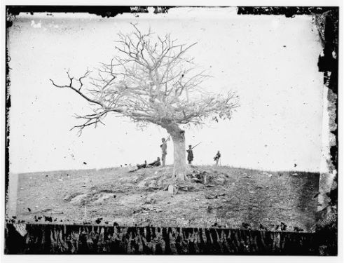 Historic Alexander Gardner photo of a lone grave under a tree