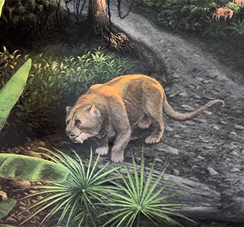 a cat-like predator looks as if stalking prey with palm fronds present