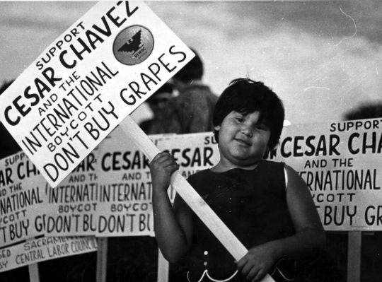 A young child holds a picket sign at a rally, supporting Cesar Chavez and the UFW grape boycott. Image-Wayne State University
