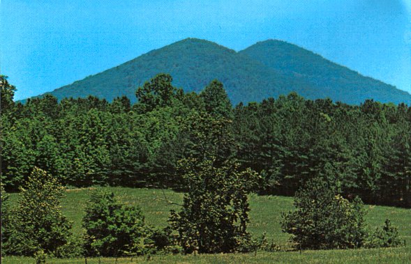 2 densely tree-covered mountains loom in the background behind tall green trees and grass.
