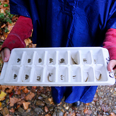 A student in a blue poncho holds a white ice cube tray; several of the try compartments contain aquatic organisms.