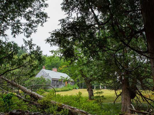a grey house in the woods