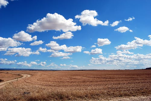 White fluffy clouds in a bright blue sky above a brown field with a road to the left of the field. White fluffy clouds in a bright blue sky above a brown field with a road to the left of the field.