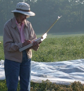 archaeologist, stands in a field at the edge of an excavation unit taking notes on a clipboard.