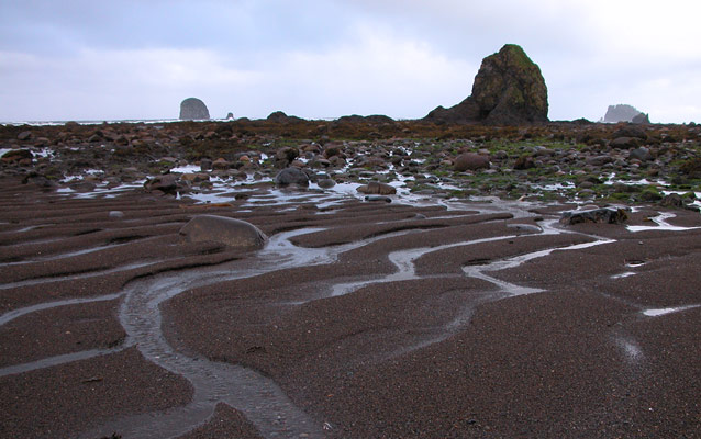 Tidepools are exposed by a low tide at Sant Point.