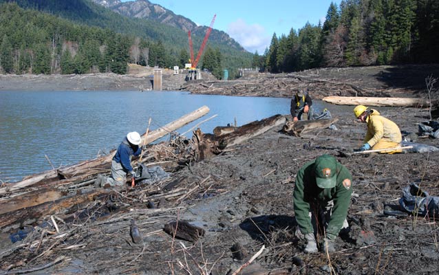 Washington Conservation Corps Crews and park service employees replant native vegetation with dam deconstruction ongoing in the backgroung. Washington Conservation Corps Crews and park service employees replant native vegetation with dam deconstruction ongoing in the backgroung.