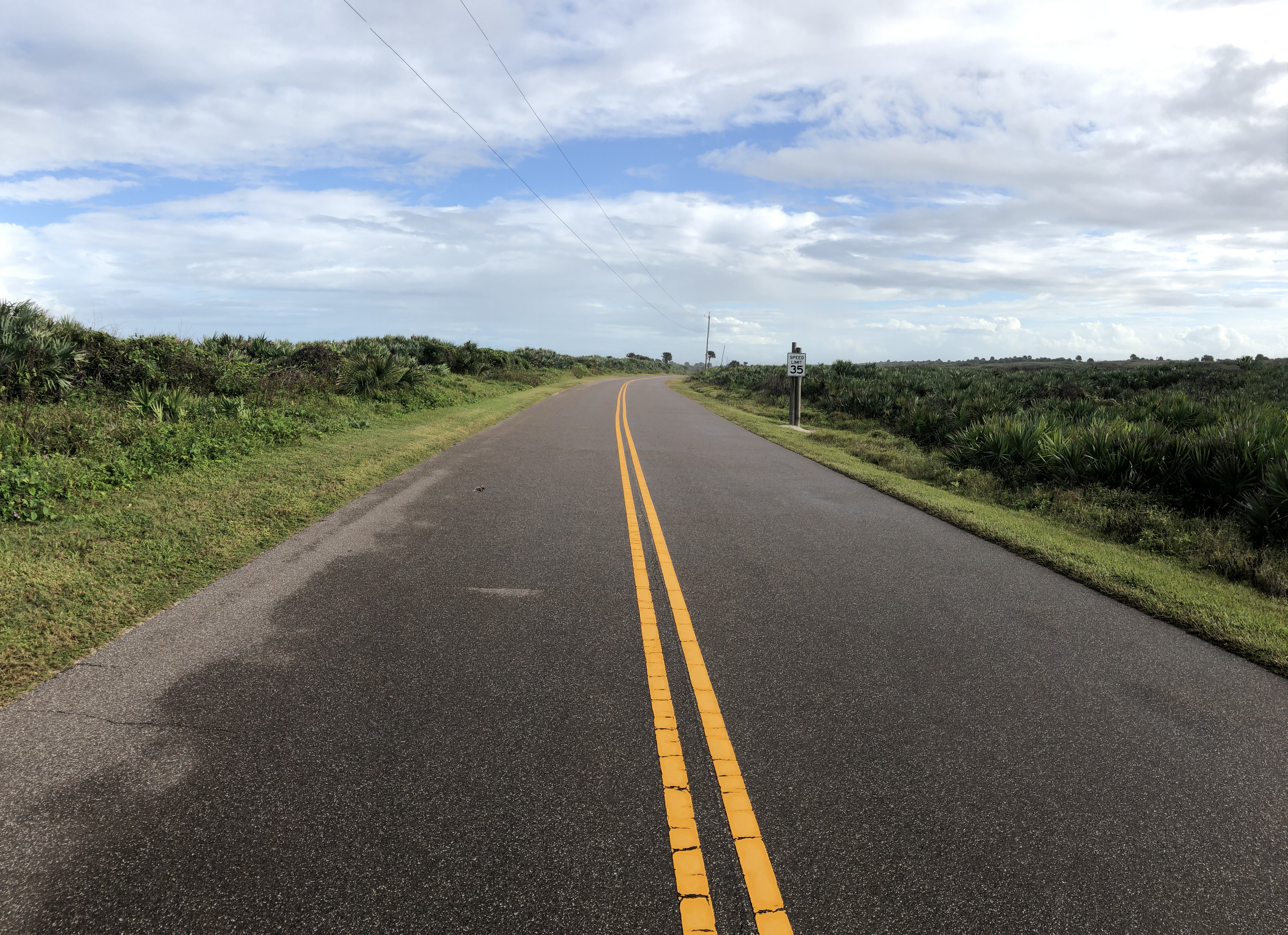 Apollo roadway with vegetation on the side of the road