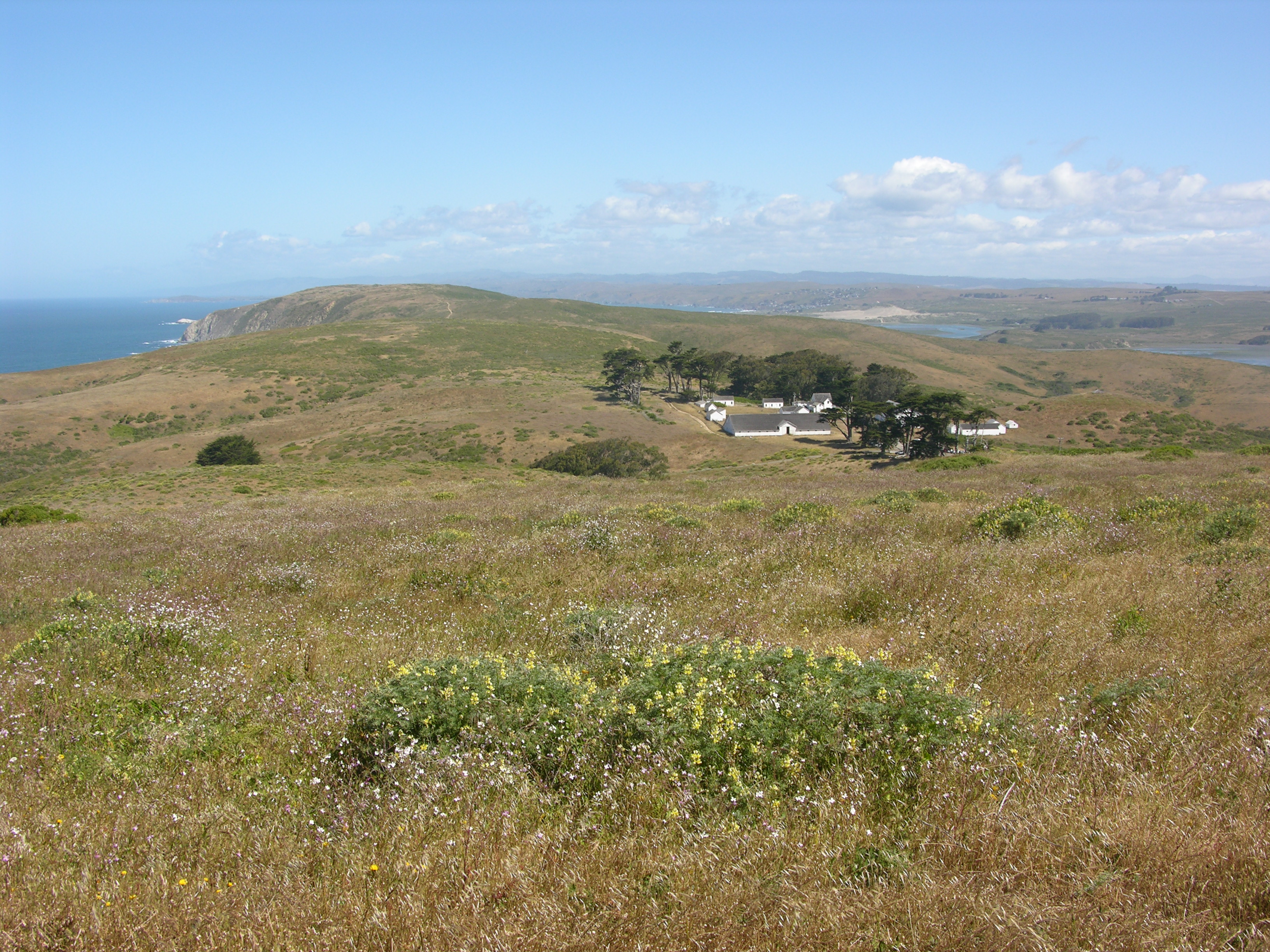 A ranch with white buildings & closely surrounded by trees sits on a narrow grass-covered peninsula.