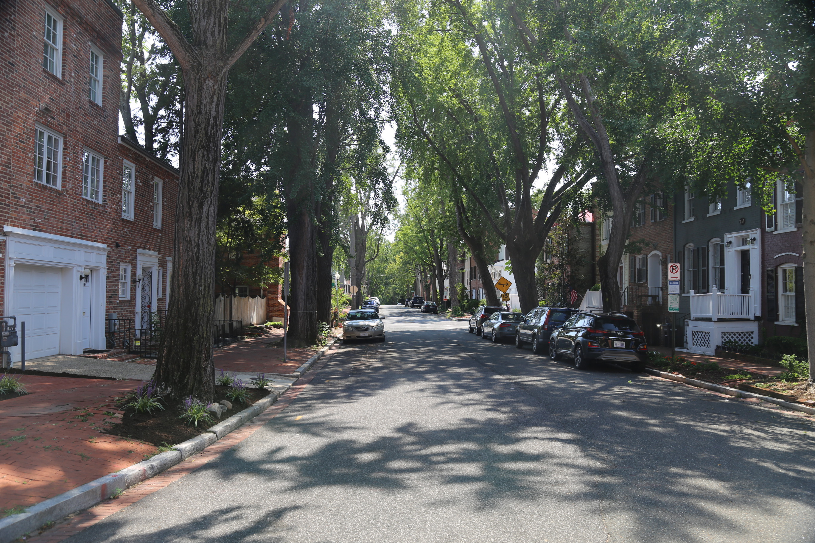 Street lined with trees