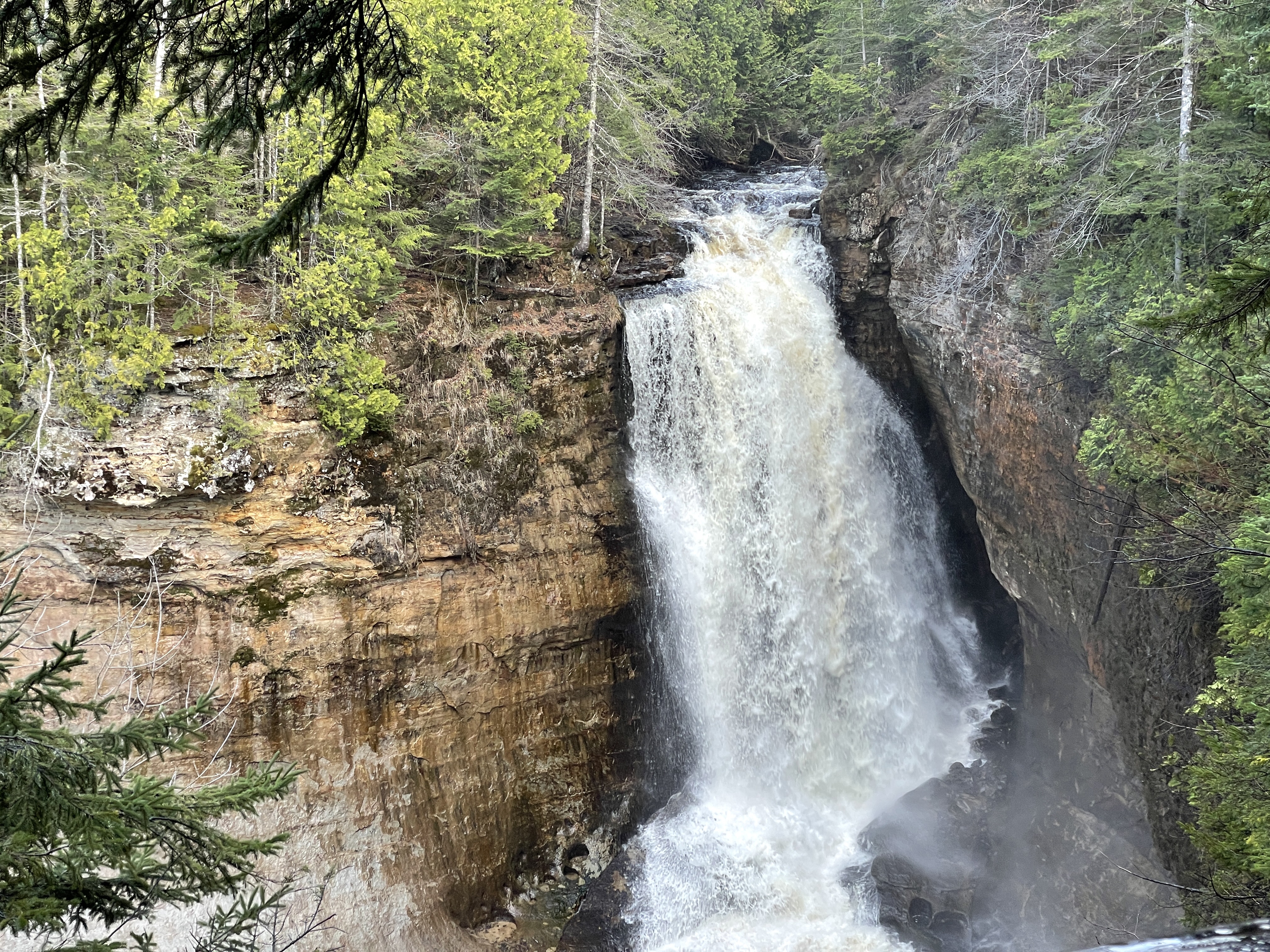 Miners Falls flowing over a forested cliff