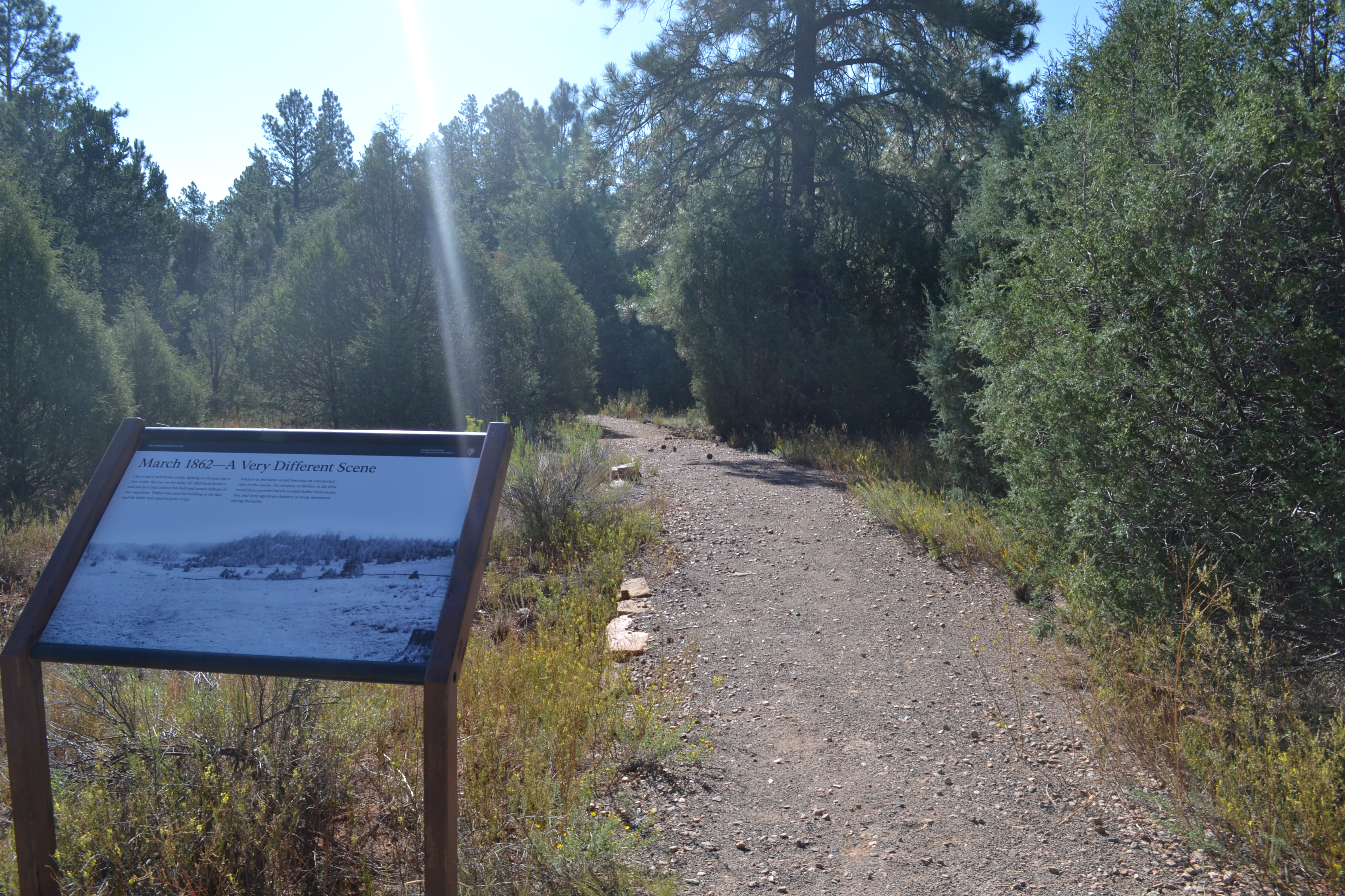 Trail, Trees, Blue Sky