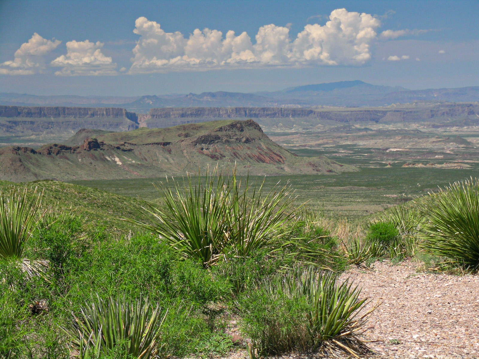 A view looking out over low desert, volcanic mountains, and a line of cliffs cut by a steep canyon.
