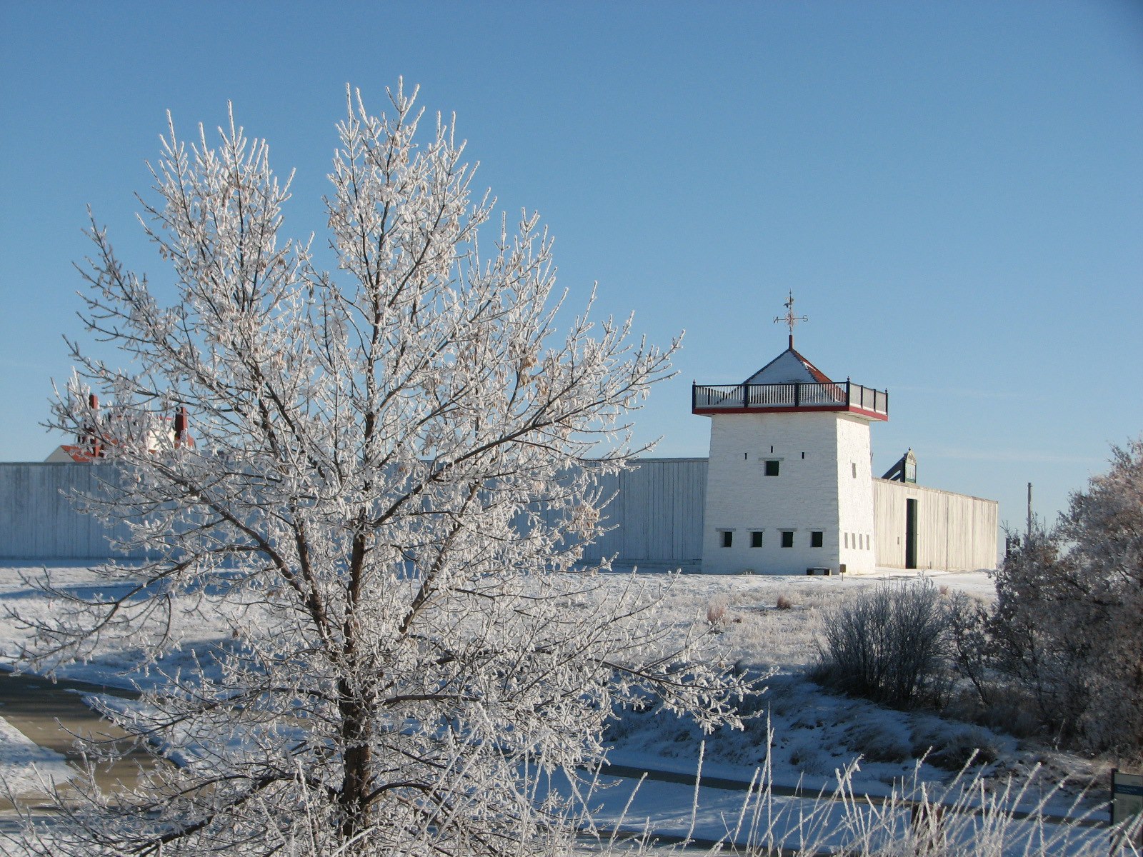 Tree with bare limbs covered in frost, white walls and red roofed stone baston in background