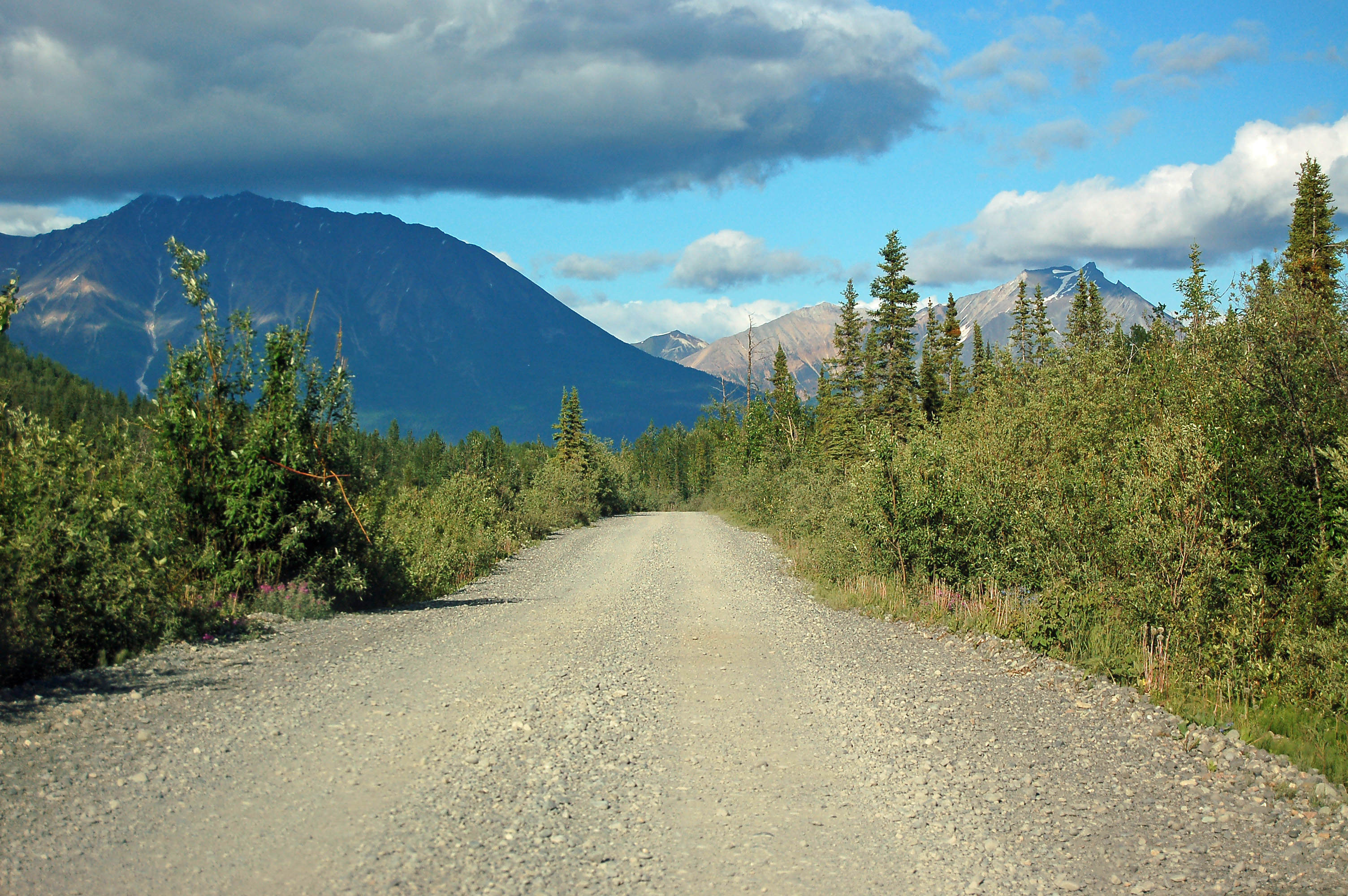 McCarthy Road