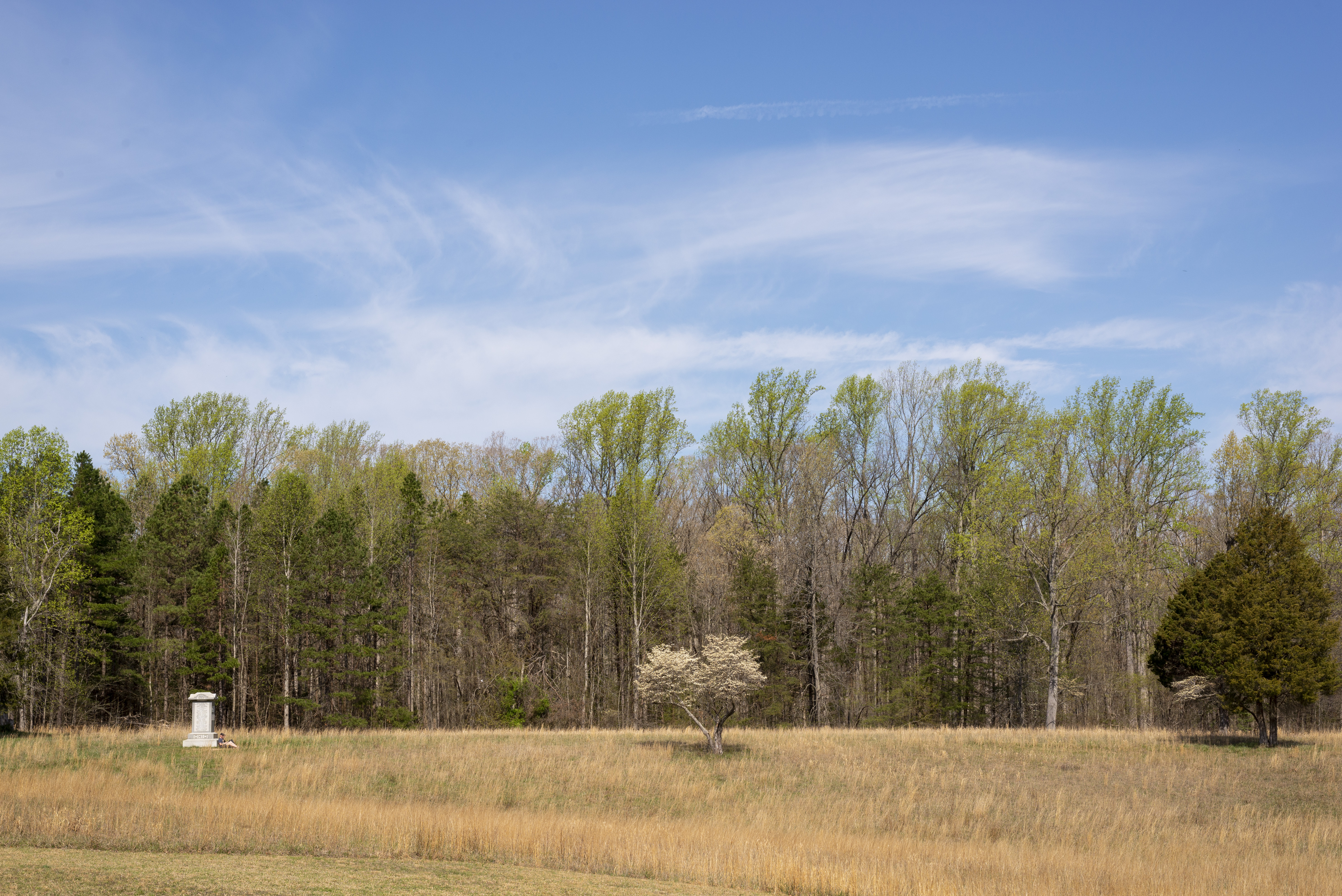 A filed with a stone obelisk in the distance and trees lining the horizon.