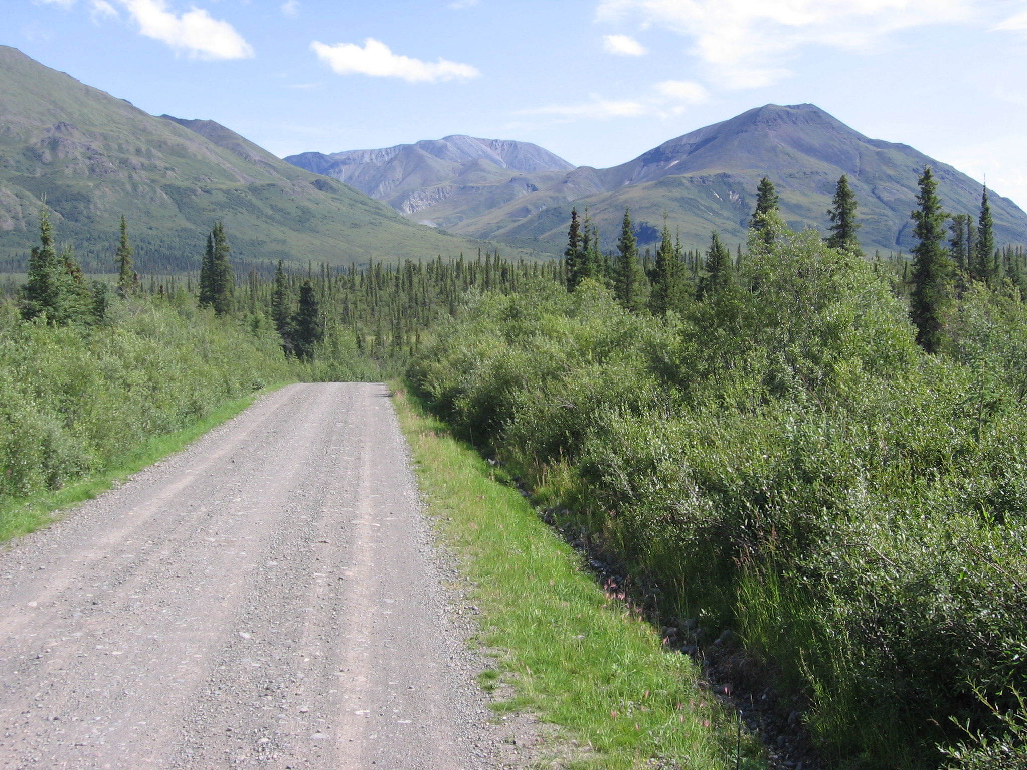 Nabesna Road