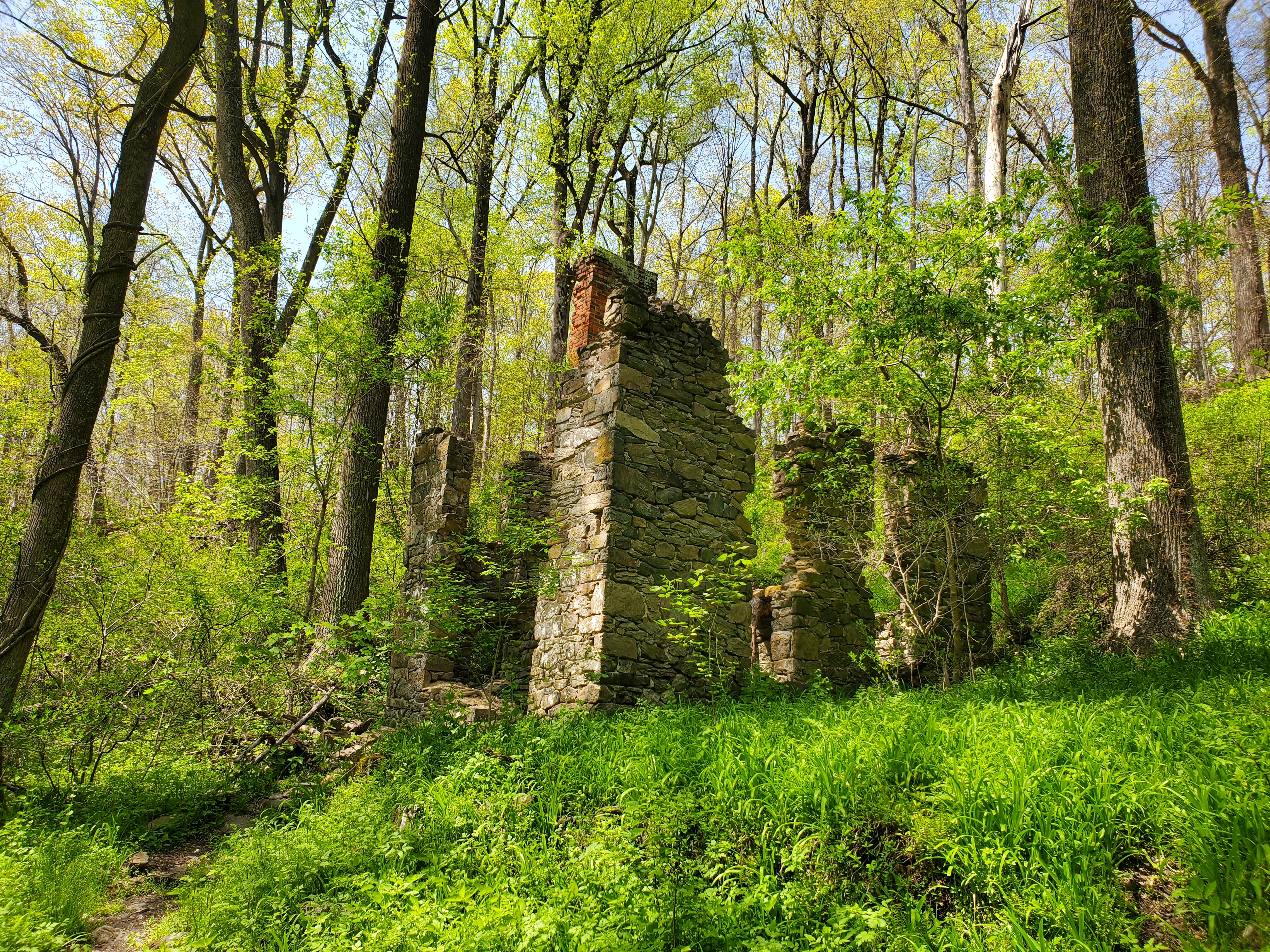 Ruins of a two story stone house surrounded by trees.